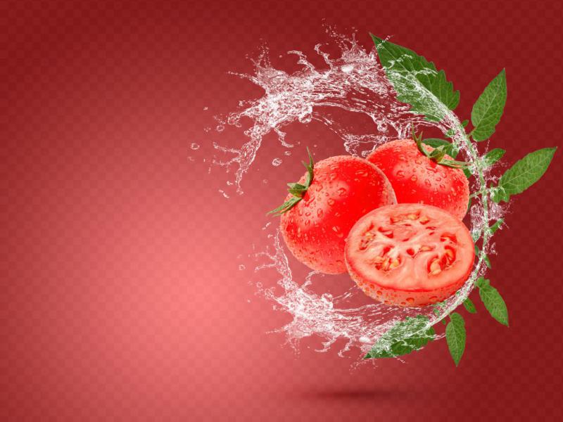 دانلود-طرح-لایه-باز-گوجه-فرنگی