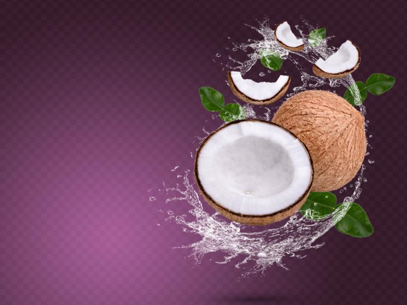دانلود-طرح-لایه-باز-نارگیل