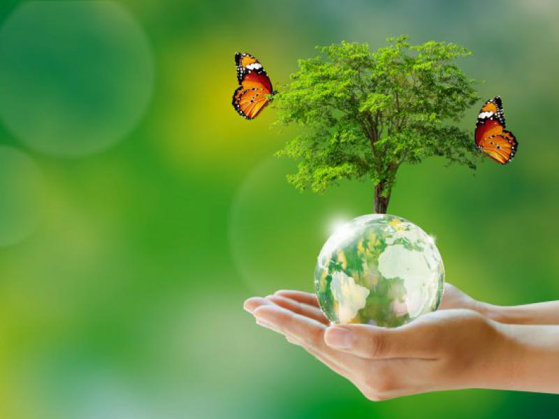 دانلود-عکس-با-کیفیت-عالی-روز-درختکاری
