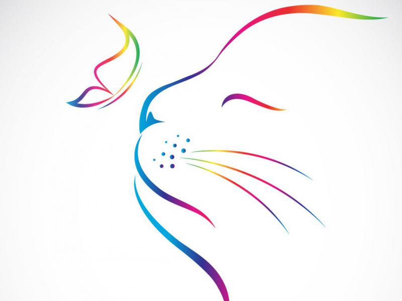 دانلود-طرح-لایه-باز-گربه-و-پروانه