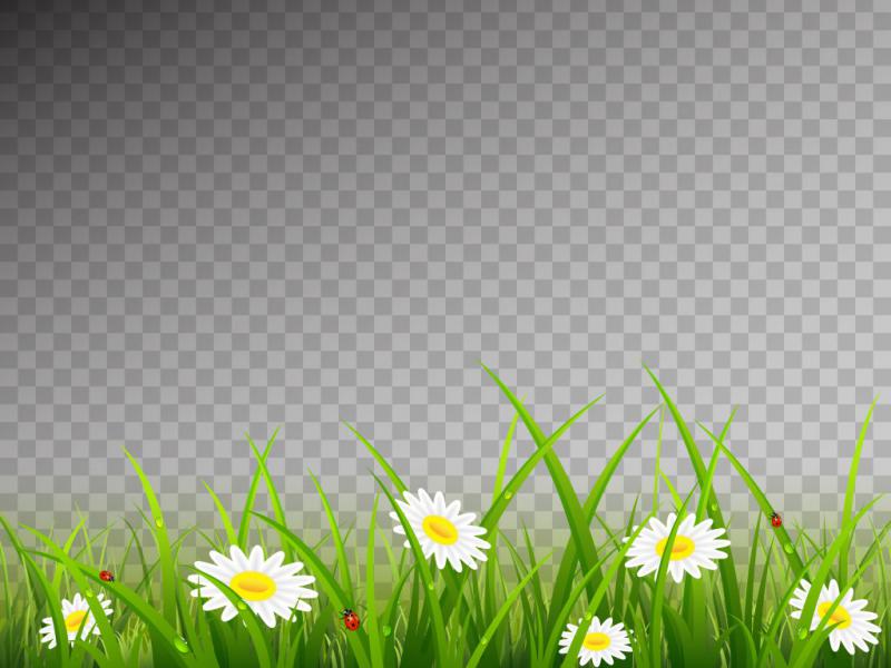 دانلود-طرح-لایه-باز-چمن-و-گل