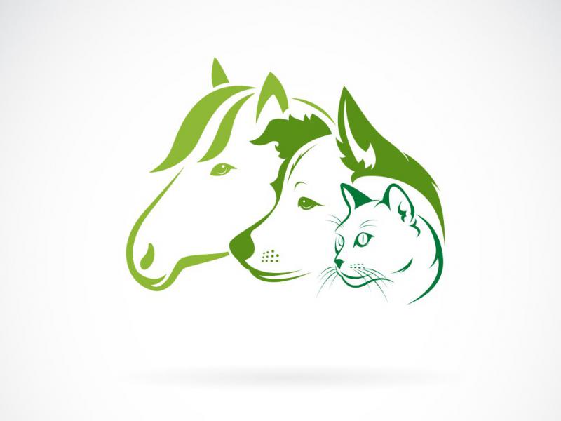 دانلود-طرح-لایه-باز-اسب-و-سگ-و-گربه-و-گربه