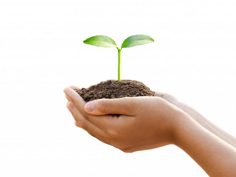 دانلود-عکس-با-کیفیت-عالی-روز-درختکاری