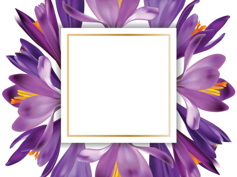 دانلود-طرح-لایه-باز-فریم-گل