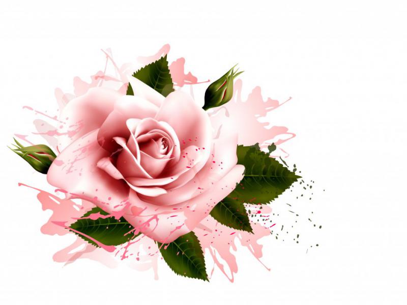 دانلود-طرح-لایه-باز-گل
