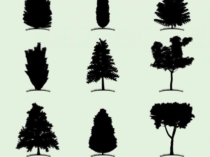 دانلود-لایه-باز-آیکن-درخت