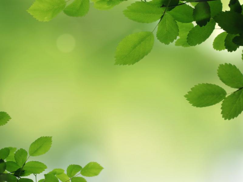دانلود-عکس-با-کیفیت-عالی-پس-زمینه-طبیعت-سبز