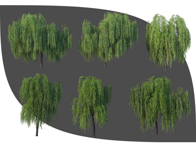 فایل-لایه-باز-درخت