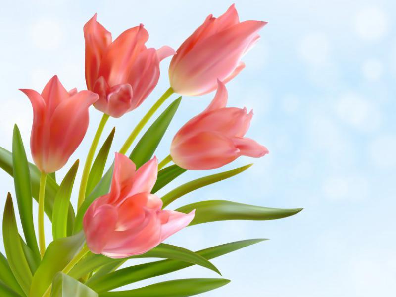 دانلود-طرح-لایه-باز-وکتور-مجموعه-ای-بی-نظیر-از-گلها