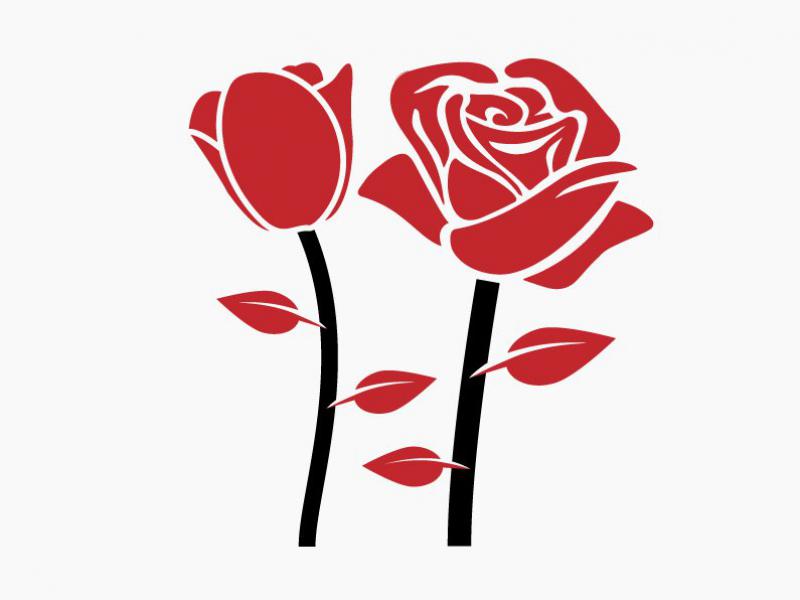دانلود-طرح-لایه-باز-وکتور-مجموعه-ای-بی-نظیر-از-گلها