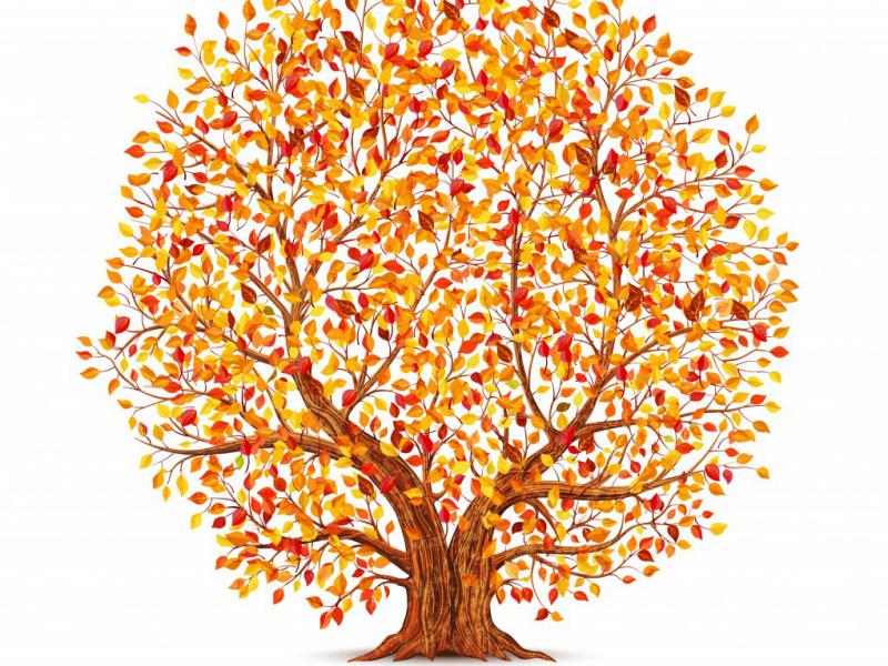 دانلود-طرح-لایه-باز-درخت-پائیزی