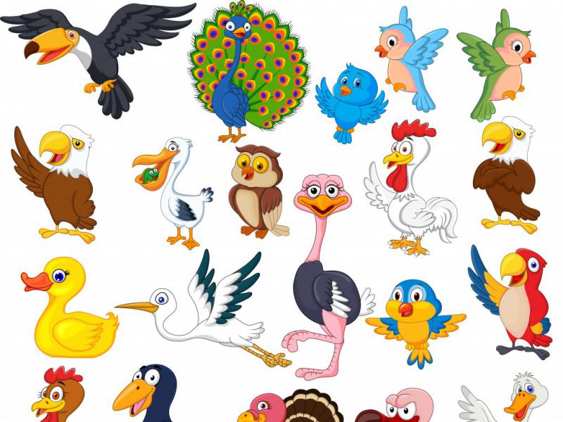 دانلود-لایه-باز-آیکن-پرندگان