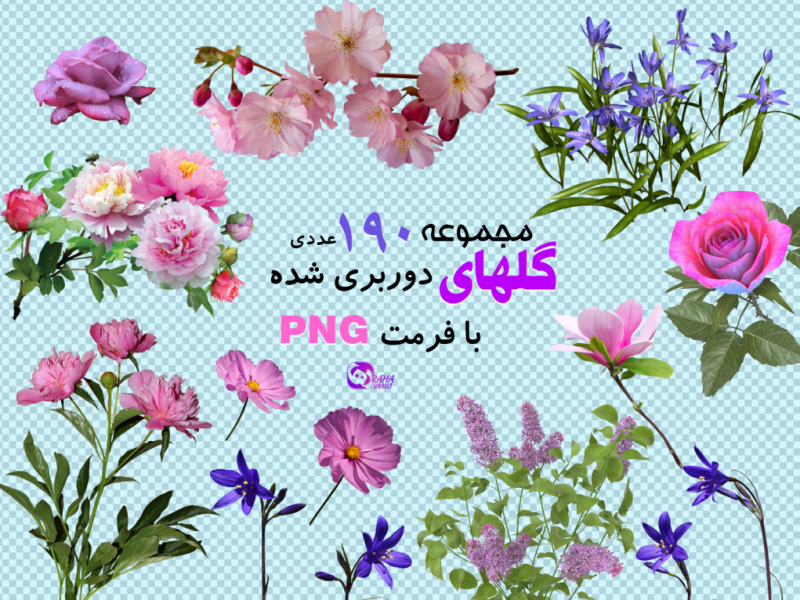 مجموعه-گل-های-صورتی،-بنفش-و-آبی-(دوربری-شده-با-فرمت-png)-190-عدد