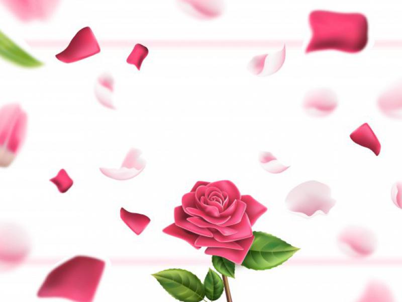 دانلود-عکس-با-کیفیت-عالی-گل-و-گلبرگ