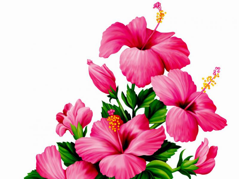 دانلود-طرح-لایه-باز-و-با-کیفیت-عالی-گل