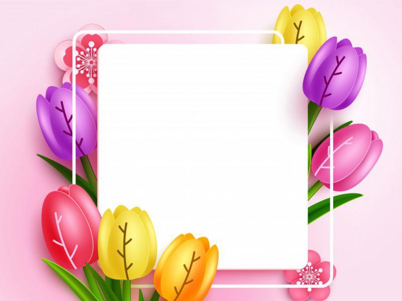 دانلود-وکتور-لایه-باز-حاشیه-گل