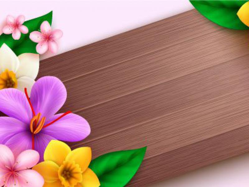 دانلود-وکتور-لایه-باز-حاشیه-گل