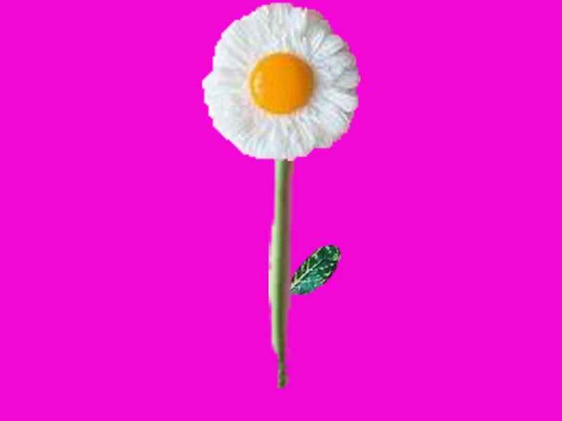 گل-نیمرویی