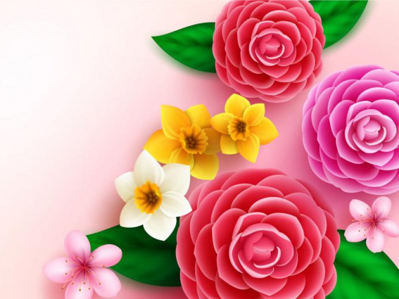 دانلود-وکتور-لایه-باز-حاشیه-گل