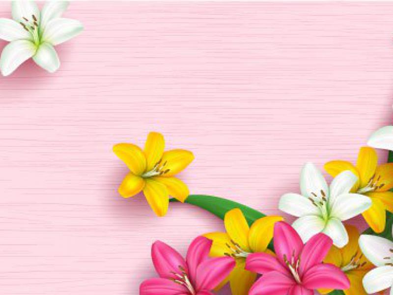 دانلود-وکتور-لایه-باز-حاشیه-گل