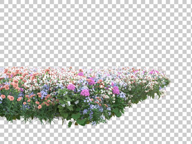 دانلود-عکس-با-کیفیت-عالی-بوته-گل