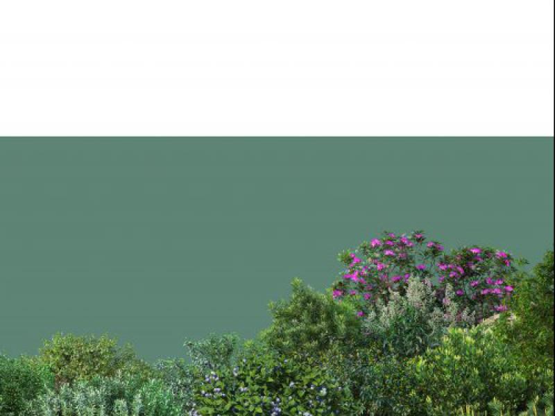 دانلود-عکس-با-کیفیت-عالی-بوته-گل