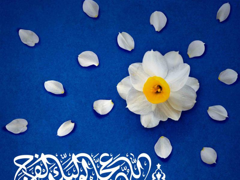 اطلاعیه-لایه-باز-ولادت-امام-زمان-علیه-السلام