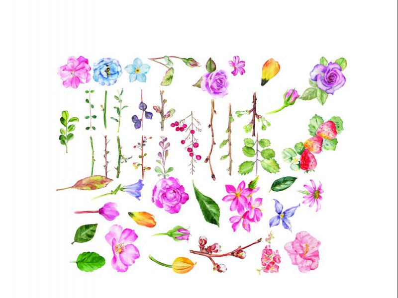 طرح-لایه-باز-گل