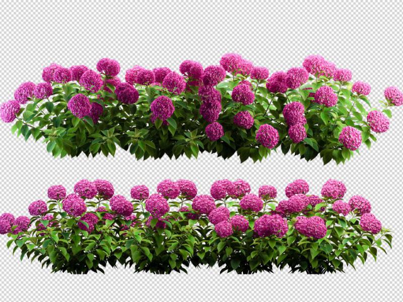 دانلود-طرح-لایه-باز-گل