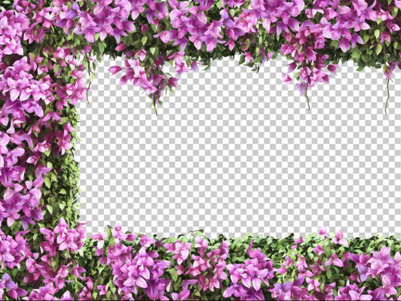 دانلود-عکس-با-کیفیت-عالی-بوته-گل