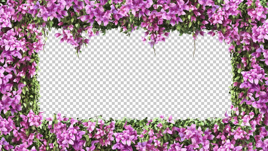 دانلود عکس با کیفیت عالی بوته گل