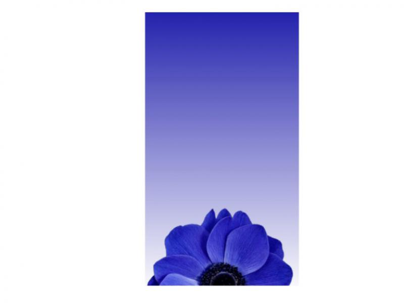 بک-گراند-