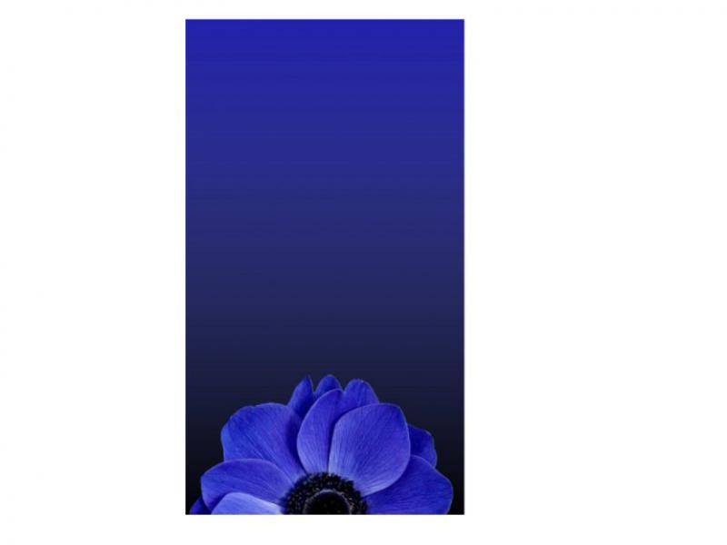 بک-گراند-