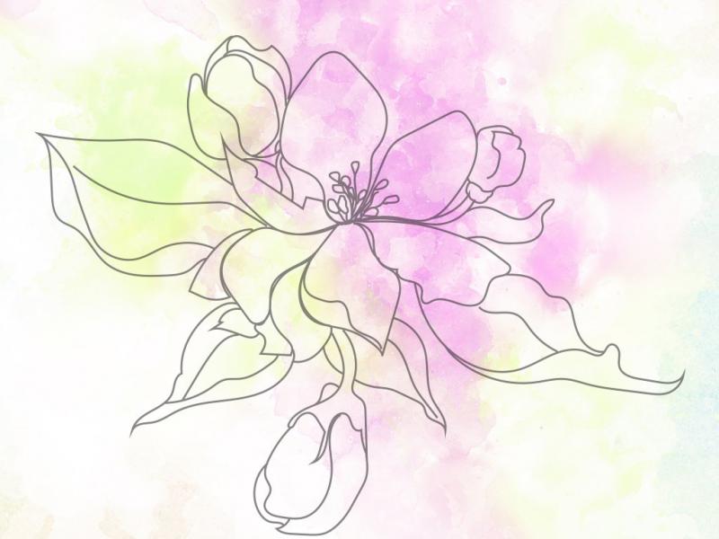 گل-های-آبرنگی