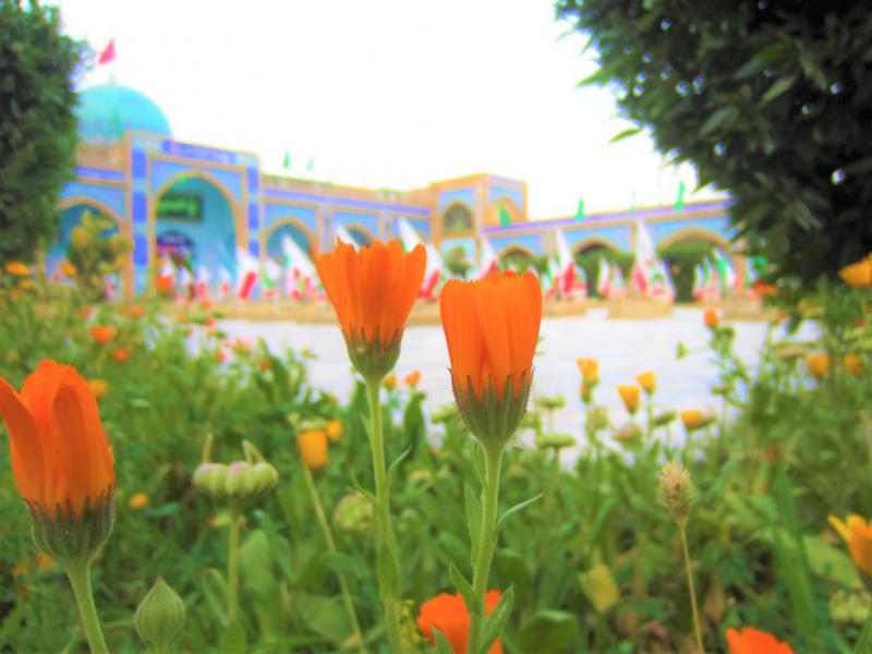 عکاسی-راهیان-نور