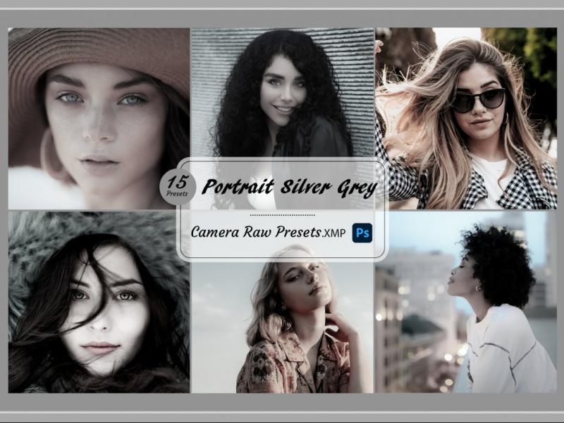 15-پریست-کمرا-راو-مخصوص-پرتره---تم-رنگ-خاکستری-Portrait--Silver-Grey