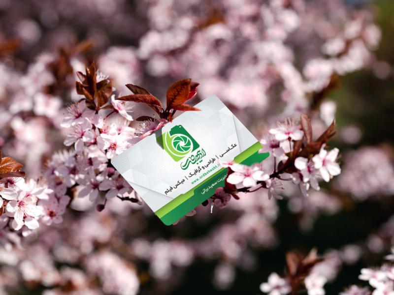 -طرح-لایه-باز-موکاپ-کارت-ویزیت