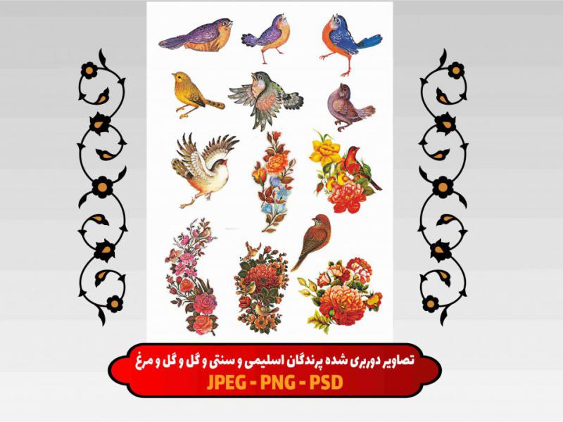 تصاویر-دوربری-شده-پرندگان-اسلیمی-و-سنتی-و-گل-و-گل-و-مرغ