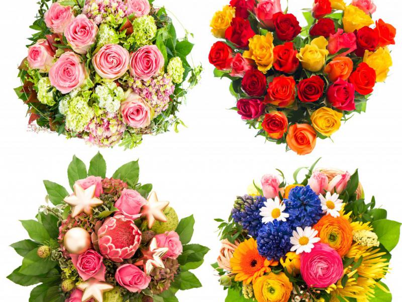 دانلود-عکس-با-کیفیت-عالی-مجموعه-گل-های-بهار