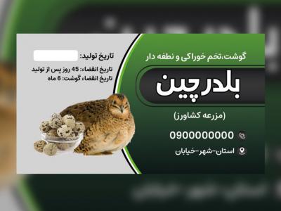 کارت ویزیت و برچسب فروش تخم بلدرچین