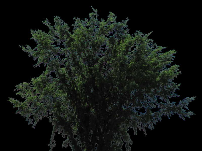 png-درخت-