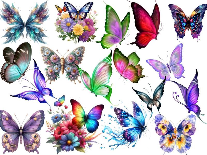 png-پروانه-