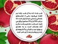 پک-پست-یلدایی-لایه-باز-و-قابل-ویرایش