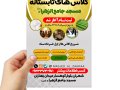 تراکت-و-بنر-لایه-باز-کلاس-های-تابستان