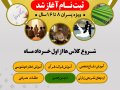 تراکت-و-بنر-لایه-باز-کلاس-های-تابستان