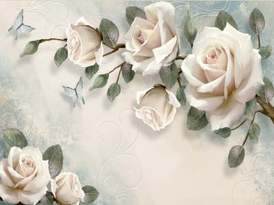 گل رز سفید لایه باز
