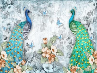 طاووس لایه باز