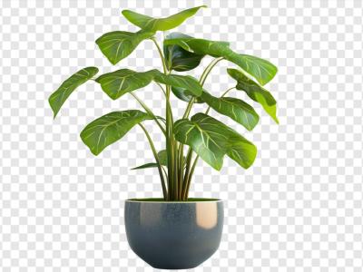 فایل لایه باز گل طبیعی با گلدان 