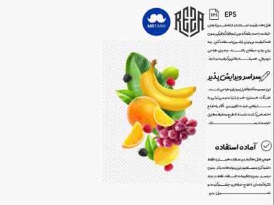 وکتور - آیکون | EPS