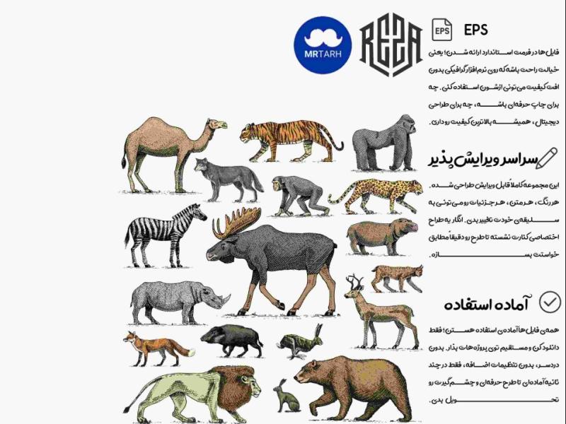 وکتور---آیکون-|-EPS